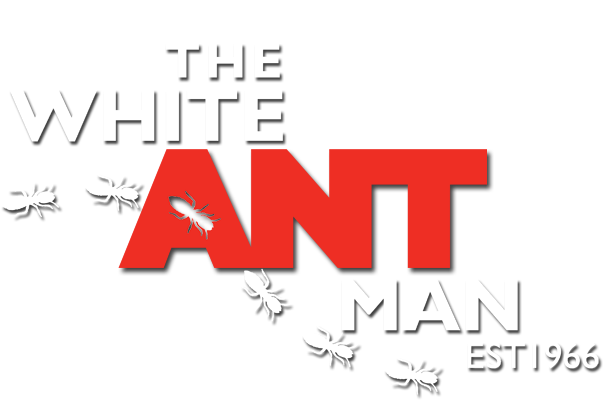 white-ant-man-subheader