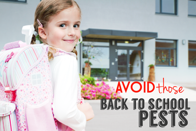 back-to-school-pests