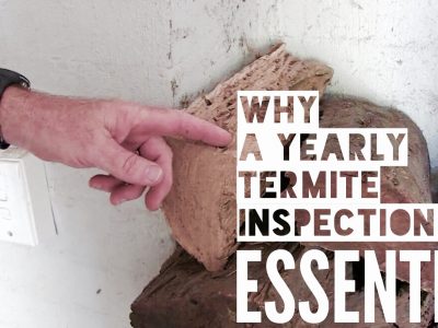 Why a Yearly Termite Inspection is Essential
