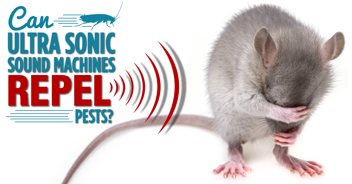 Can ultrasonic sound machines repel pests?| CAPC
