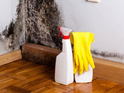 How to Deal With Mould in Your Home
