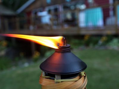 The Many Uses of Citronella
