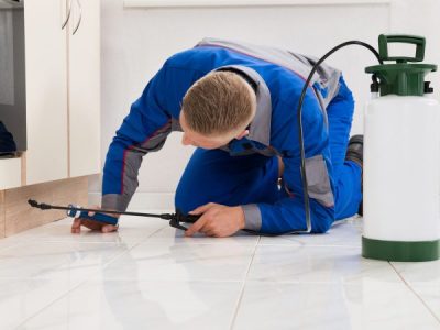 Why Pest Control Shouldn’t Only Be When Selling Your Home