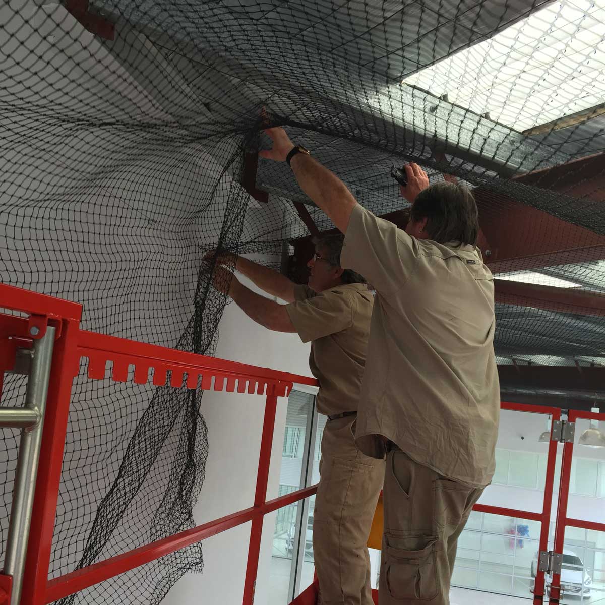 Cure All Pest Control – Warehouse Bird Proofing: Netting, Spikes, Removal & Shock Systems
