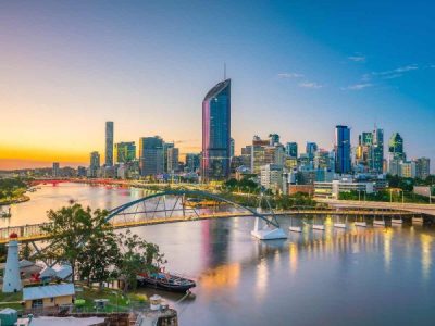 What Pests Are Most Common In Brisbane City