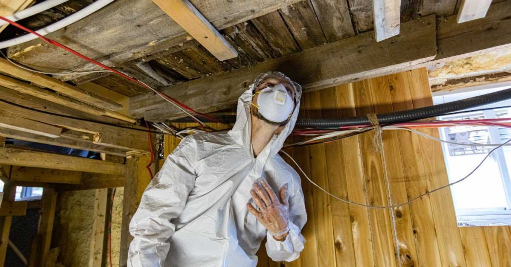 Pest control technician checking under a house for mold growth