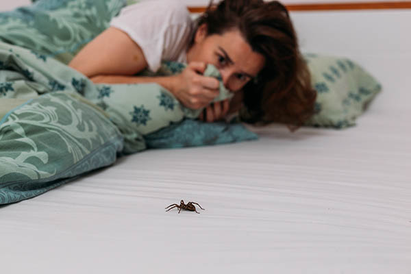 Bug Phobia: The Root Cause of Your Fear of Insects