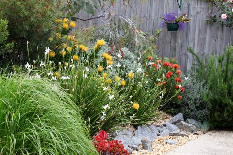 The Role of Local Flora in Attracting and Repelling Pests: Best Planting Ideas for a Pest-Free Backyard in Brisbane and the Gold Coast