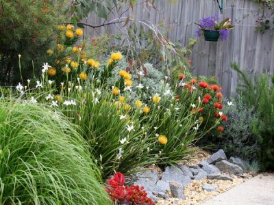 The Role of Local Flora in Attracting and Repelling Pests: Best Planting Ideas for a Pest-Free Backyard in Brisbane and the Gold Coast