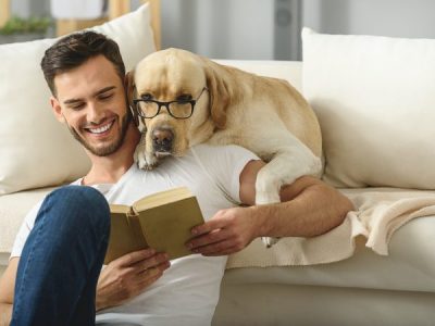 Pet-Friendly Home Ideas: Creating a Safe Space for Your Furry Friends in Queensland