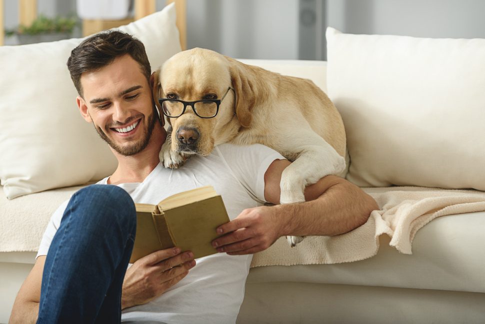 Pet-Friendly Home Ideas: Creating a Safe Space for Your Furry Friends in Queensland
